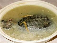 生扒八宝甲鱼