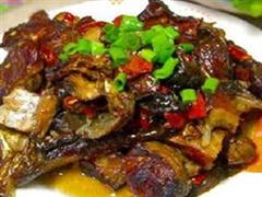 提蓝鱼