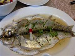 明月鱼