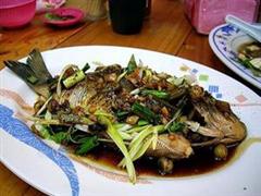 清炖黑鲷