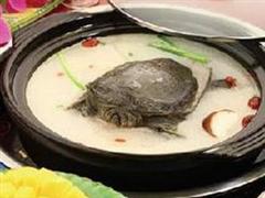 麦冬山楂炖甲鱼