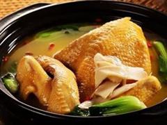 黄母鸡