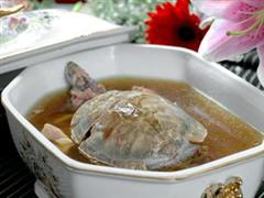 土茯苓龟