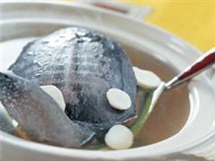 贝母甲鱼