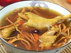 冬虫夏草水鸭汤