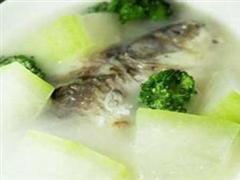 冬瓜黑鱼汤