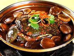 香菇炖甲鱼