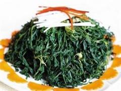 凉拌益母草