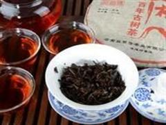 普洱茶叶