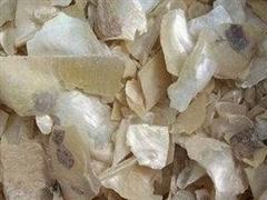 珍珠母