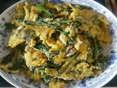 枸杞头炒鸡蛋 