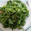 野芹菜方