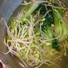 黄豆芽拌油菜