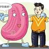 补脾