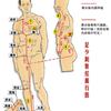 归入肾经