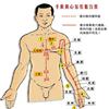 归入心包经