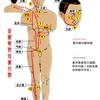 归入胃经