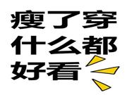 12星座减肥毅力排行