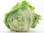 减肥蔬菜有哪些？ 八种减肥蔬菜教你轻松减肥