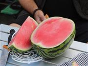 夏天减肥，吃对3种食物让你越来越瘦