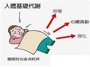 如何利用基础代谢率实现更快速减肥？