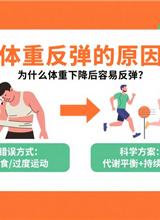 为什么体重下降后容易反弹？