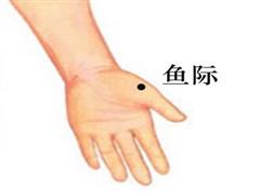 鱼际