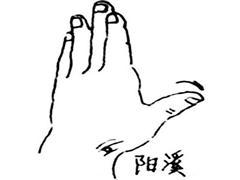 阳溪