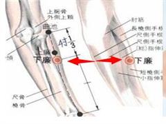 下廉
