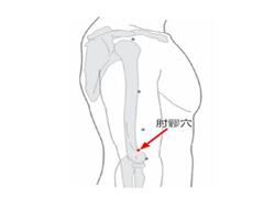 肘髎