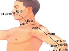 肩髃