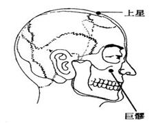 巨髎