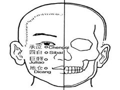 地仓