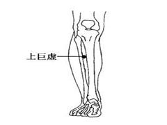 上巨虚
