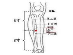 条口
