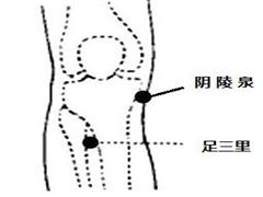 阴陵泉