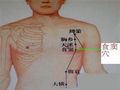 食窦