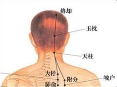 络却