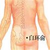 白环俞