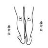 委中