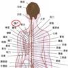 魄户