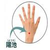阳池