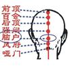 脑户