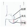 中极