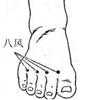 八风