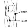 阴陵泉