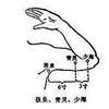 青灵