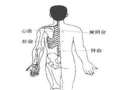 厥阴俞