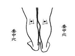 委中