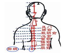 阳纲